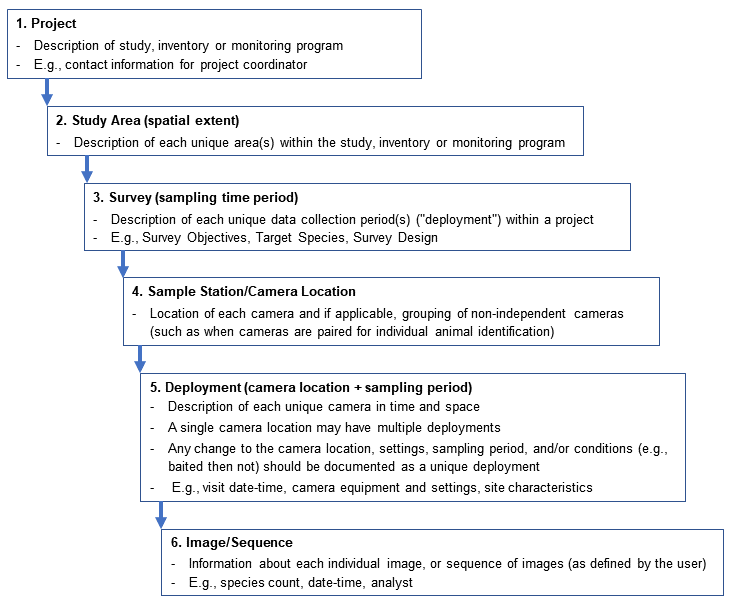 ../_images/Metadata_Heirarchy_2024-01-22.png