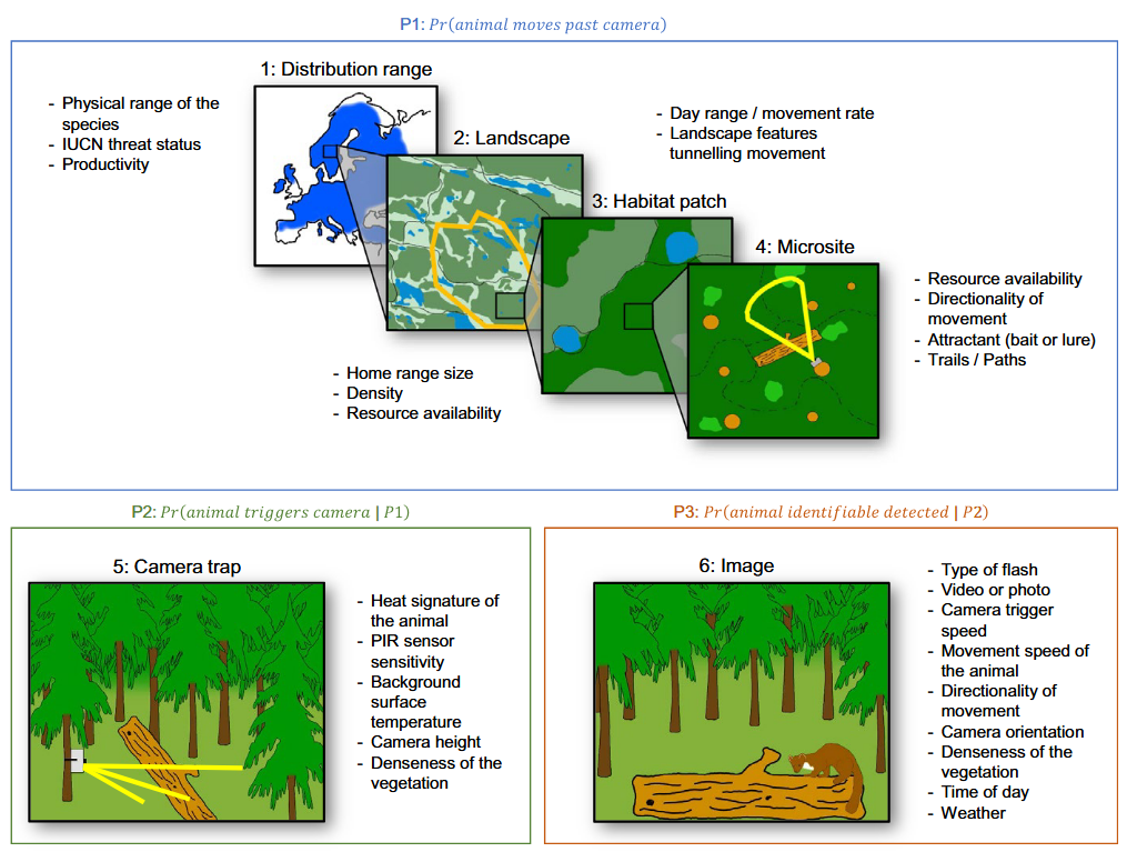 ../_images/Survey-guidelines_DetectionProb_SCALE_Hofmeester-et-al.%2C-2019.png