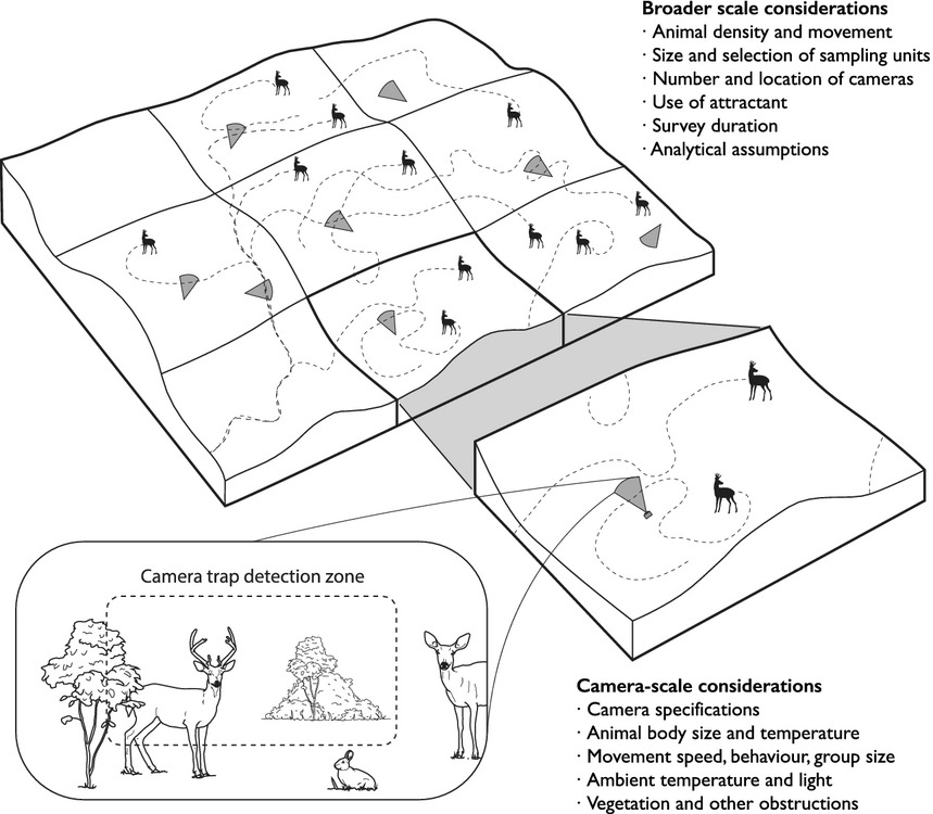 ../_images/burton_et_al_2015_fig1.jpg