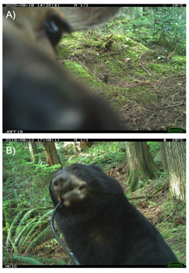 ../_images/clarke_et_al_2023_fig9_clipped.png