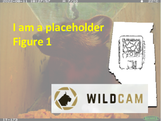 ../_images/figure11_filename.png