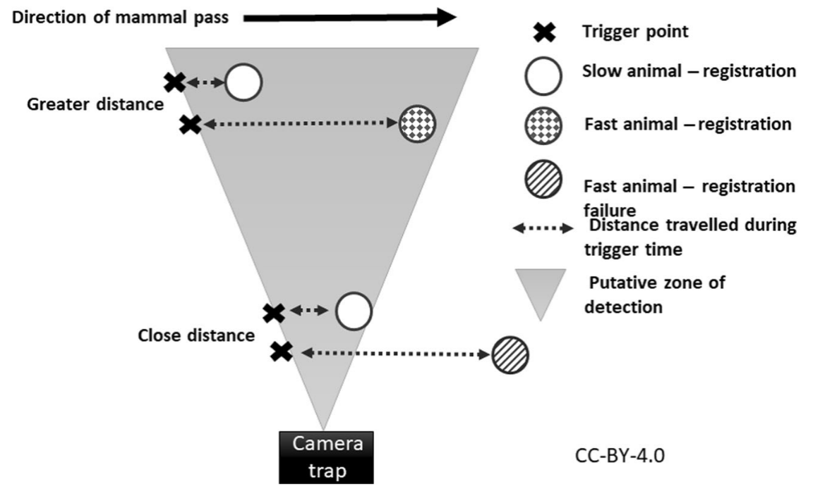 ../_images/findlay_et_al_2020_fig8_clipped.png