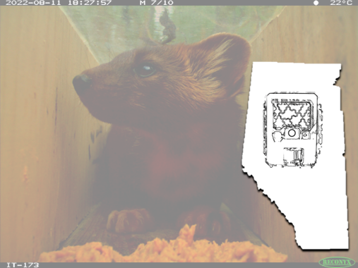 Remote Camera Decision Support Tool - Concept Library - Home