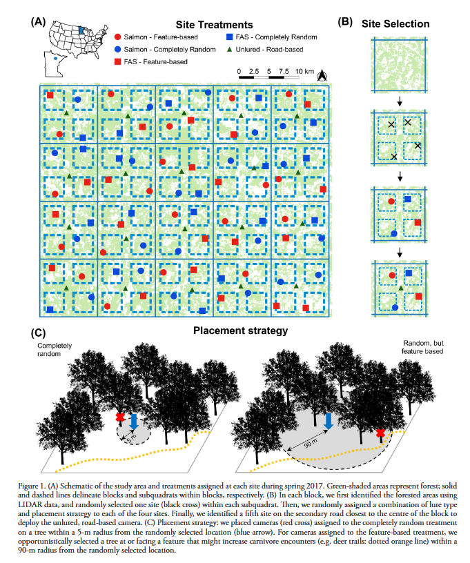 ../_images/iannarilli_et_al_2021_fig1.png