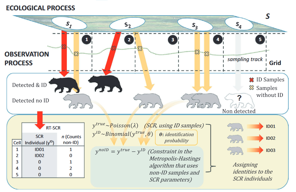 ../_images/jimenez_et_al_2021_fig1_clipped.png