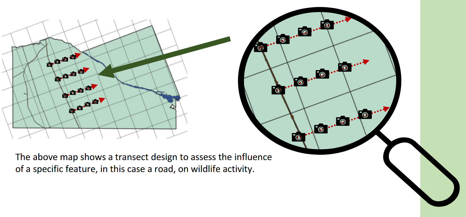 ../_images/kemp_et_al_2022_pg14_fig2.png