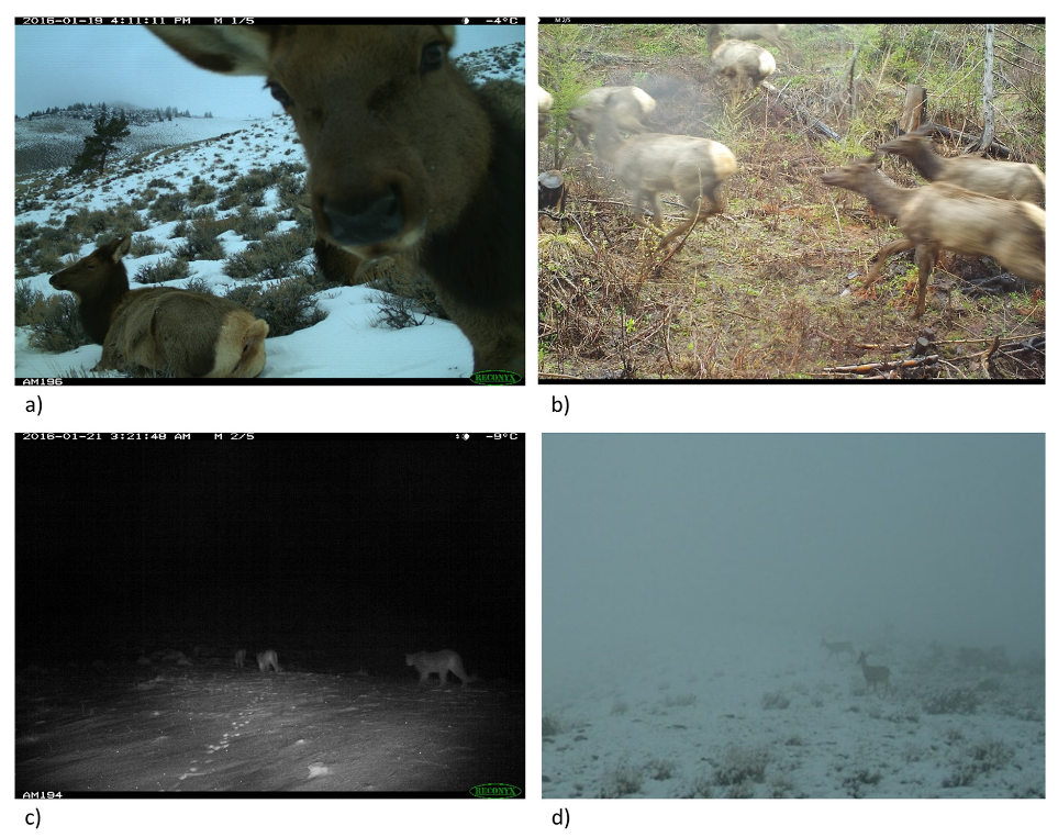 ../_images/moeller_et_al_2018_fig7_clipped.png