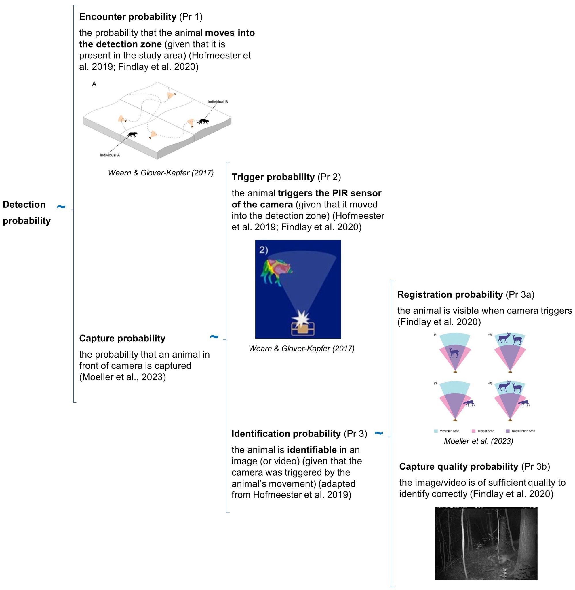 ../_images/rcsc_et_al_2024_detection_probability_2023_05_04_clipped.jpg